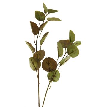 Decorative eucalyptus branch AOSHAN, brown-green, 31"/80cm
