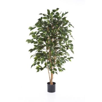 Artificial Ficus Benjamina THIAGO, natural stems, flame retardant, green, 4ft/120cm
