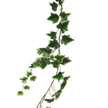 Decorative ivy garland LANSHUO, green-white, 6ft/180cm