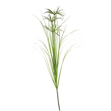 Decorative chypre grass branch QINYU, green, 4ft/120cm