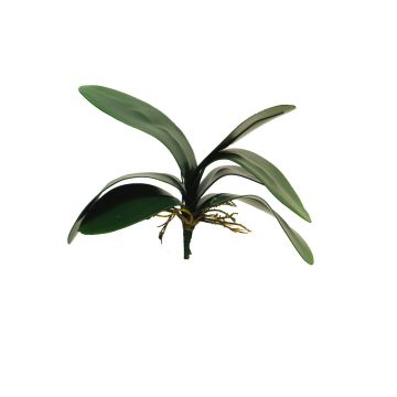 Artificial leaves of Phalaenopsis orchid XIAOQIN with aerial roots, 12"/30cm
