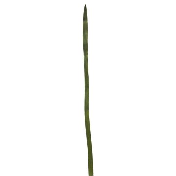 Artificial reed YUTING, green, 3ft/100cm