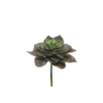 Artificial Echeveria morani XINYA on spike, brown-green, 6.7"/17cm