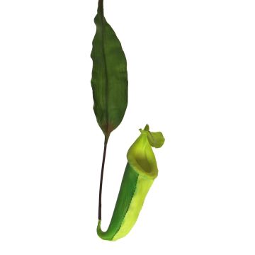 Artificial Nepenthes JIANUO, green, 26"/65cm