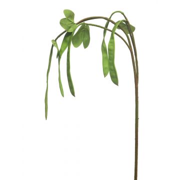 Artificial bean pod branch XINGZI with pods, green, 4ft/115cm