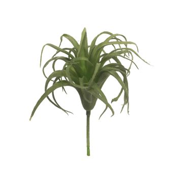 Artificial Tillandsia Stricta YUXIAN on stem, green, 17cm