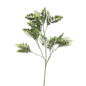 Decorative robinia branch WENLIN, grey-green, 3ft/100cm