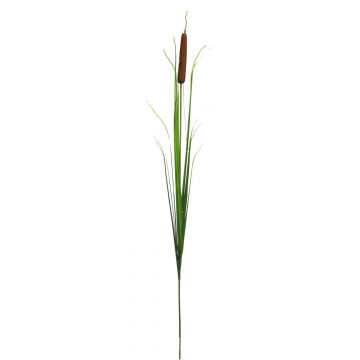 Artificial reed branch WUYOU, spadix, brown-green, 6ft/180cm