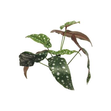 Artificial begonia plant NILING, on spike, green-white, 14"/35cm