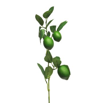 Decorative lime branch XIALIN with fruits, green, 31"/75cm