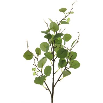 Decorative eucalyptus branch YURUO, green, 3ft/90cm