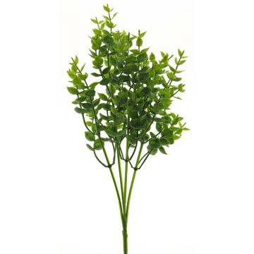 Decorative eucalyptus MINXIA, spike, green, 14"/35cm