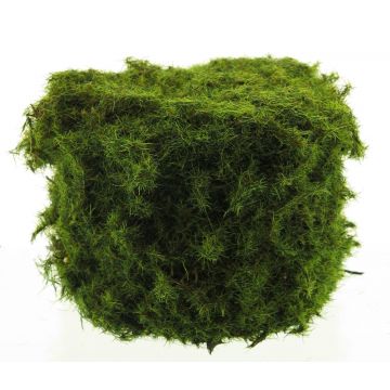 Artificial moss stone decoration YUELAN, green, 5"x4"/13x10cm
