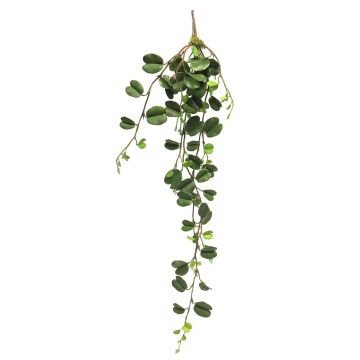 Artificial sweetheart plant XIANHUI, spike, green, 3ft/100cm