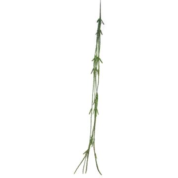 Artificial Rhipsalis MINYAN, stem, green, 3ft/105cm