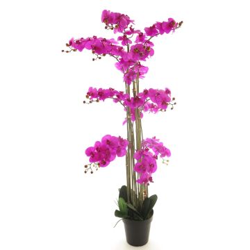 Artificial Phalaenopsis orchid CHENXU, pink, 5ft/140cm