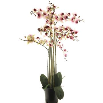 Artificial Phalaenopsis orchid CHENXU, pink-cream, 4ft/110cm