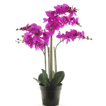 Artificial Phalaenopsis orchid CHENXU, pink, 24"/60cm