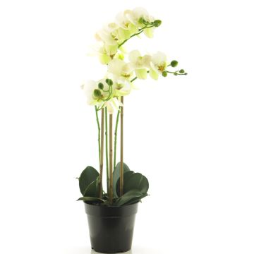Artificial Phalaenopsis orchid CHENXU, white, 22"/55cm