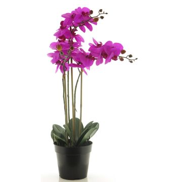 Artificial Phalaenopsis orchid CHENXU, pink, 22"/55cm