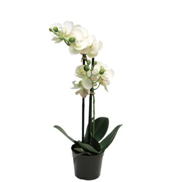 Artificial Phalaenopsis orchid CHENXU, white, 20"/50cm