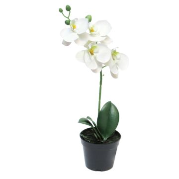 Artificial Phalaenopsis orchid CHENXU, white, 14"/35cm