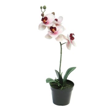 Artificial Phalaenopsis orchid CHENXU, pink-cream, 14"/35cm