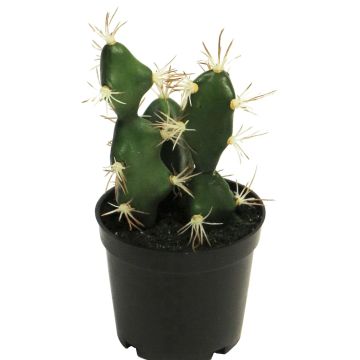 Decorative cactus Euphorbia abyssinica ROLIN, green, 6.7"/17cm