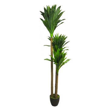 Plastic Yucca palm tree SHIXING in decorative pot, 6ft/170cm
