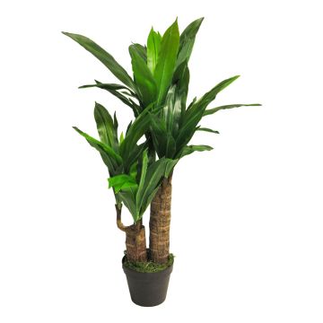 Plastic yucca ZIJUAN in decorative pot, 28"/70cm