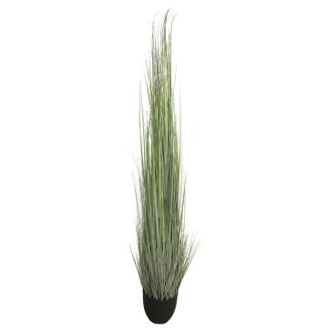 Artificial foxtail grass TONGLI in decorative pot, grey-green, 6ft/180cm