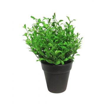 Artificial thyme herb MASHUO in decorative pot, green, 8"/20cm