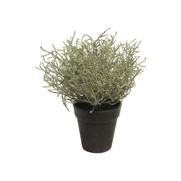 Artificial santolina plant MALILU, decorative pot, grey-green, 8"/20cm