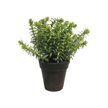 Artificial Sedum reflexum JINYU in decorative pot, green, 9"/23cm