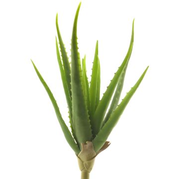 Artificial aloe vera DAHENG on spike, green, 16"/40cm