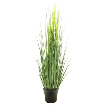 Decorative Calamagrostis grass RULIN with spikes, decorative pot, green-yellow, 4ft/130cm