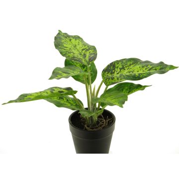 Artificial dieffenbachia XUMEI, pot, green-cream, 10"/25cm