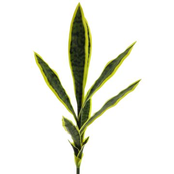 Decorative Sansevieria SUNLIN on spike, green-yellow, 28"/70cm