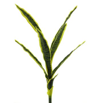 Decorative Sansevieria SUNLIN on a stem, green-yellow, 60cm