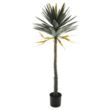 Artificial Yucca palm tree MUYANG, 5ft/150cm