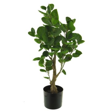 Plastic aralia plant SHANG, artificial trunk, green, 26"/65cm