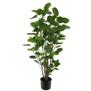Plastic aralia plant SHANG, artificial trunk, green, 3ft/105cm