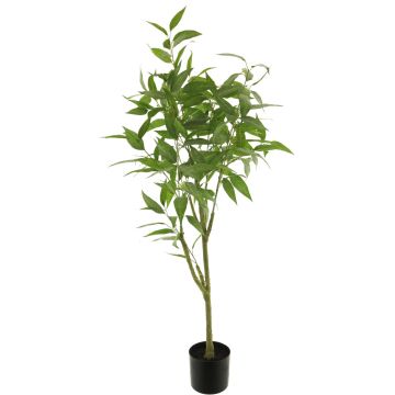 Decorative longifolia YULIN, artificial trunk, 7ft/200cm