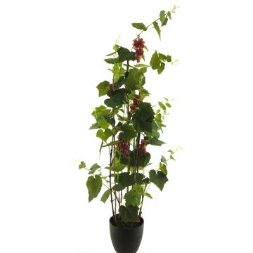 Decorative vine plant JIFAN, fruits, decorative pot, green-purple, 6ft/170cm