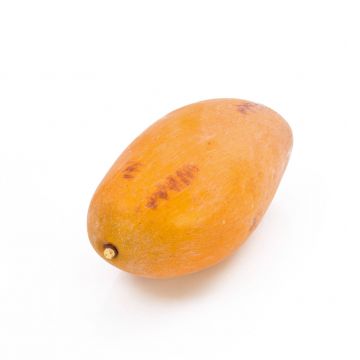 False mango OLINDA, orange, 4.7"/12cm, Ø2.6"/6,5cm