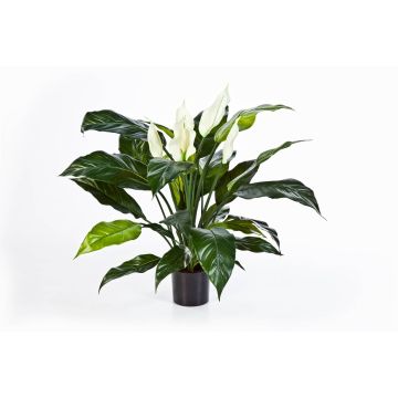 Fake Spathiphyllum ABBY, with flowers, white, 30"/75cm