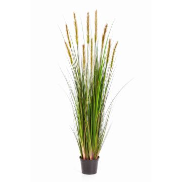 Fake foxtail grass FREDERIK with panicles, green-yellow, 5ft/150cm