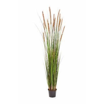 Fake foxtail grass FREDERIK with panicles, green-brown, 6ft/180cm