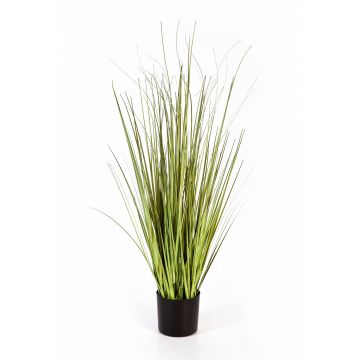Silk sedge grass SABURO, green, 3ft/90cm