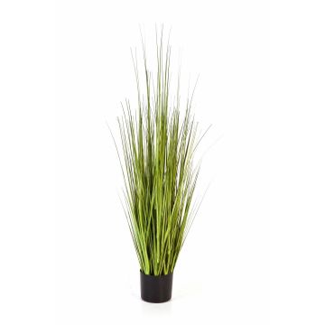 Silk sedge grass SABURO, green, 4ft/120cm
